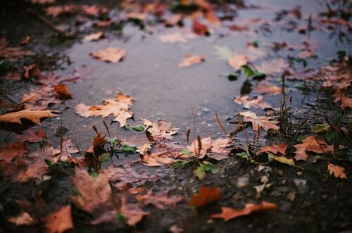 Thoi Dung Trach Nguyen Si Kha • Rainy Day Memories • 2023